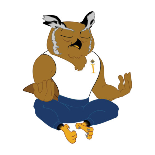  Large Decal - NIU - Meditating Culper