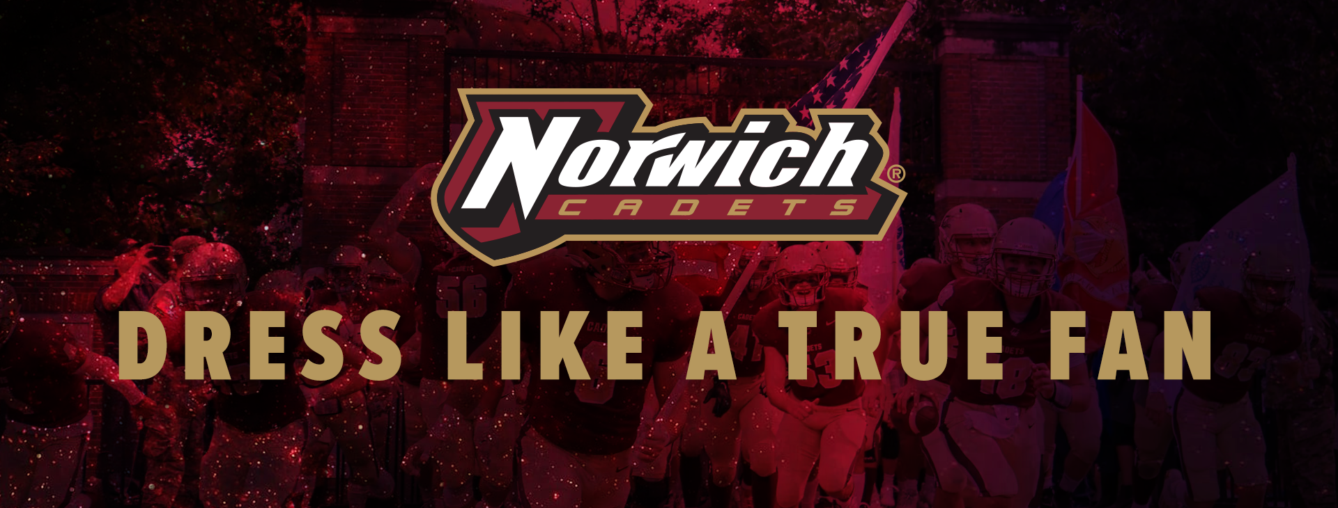 Promotional banner