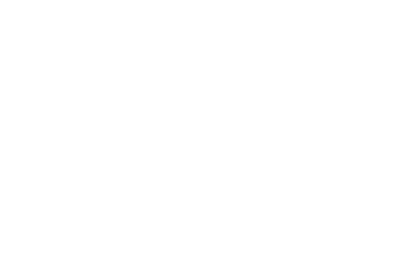 NYFA Fans