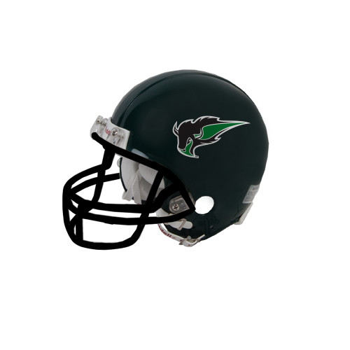  Riddell Replica Black Mini Helmet - Power Bison