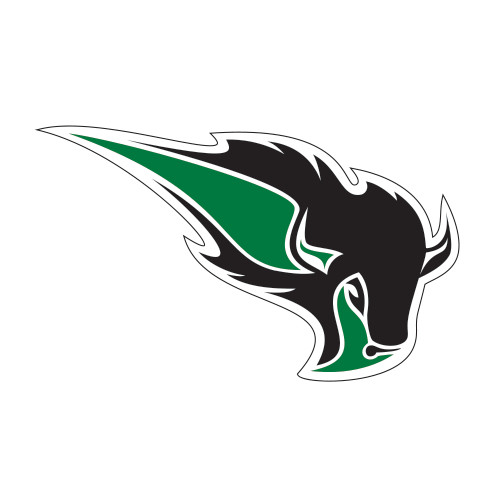  Large Decal - Power Bison
