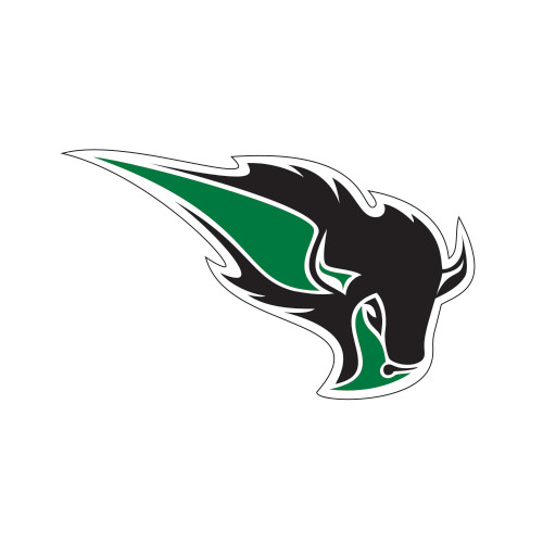  Small Decal - Power Bison