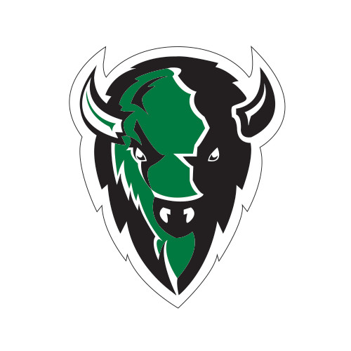  Small Decal - Charging Bison