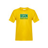 Thumbnail image for  Youth Gold T-Shirt
