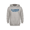 Thumbnail image for  Youth Grey Fleece Hood