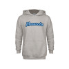Thumbnail image for  Youth Grey Fleece Hood