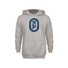 Thumbnail image for  Youth Grey Fleece Hood