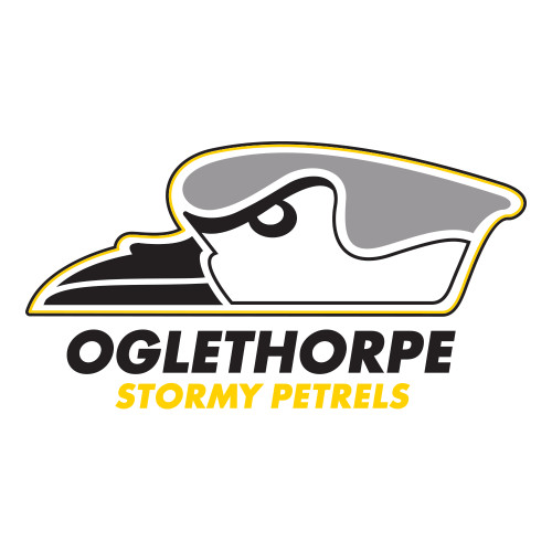  Large Decal - Primary Athletics Logo