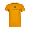 Thumbnail image for  Youth Gold T-Shirt
