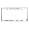 Thumbnail image for  Metal License Plate Frame in Chrome