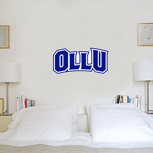  2 ft x 4 ft Fan WallSkinz - OLLU