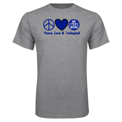 Main Image for Our Lady of the Lake Grey T Shirt