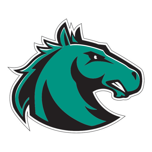  Large Decal - Athletic Palomino