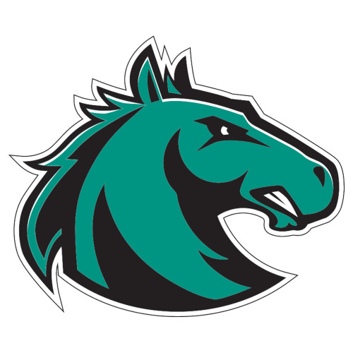  Extra Large Decal - Athletic Palomino
