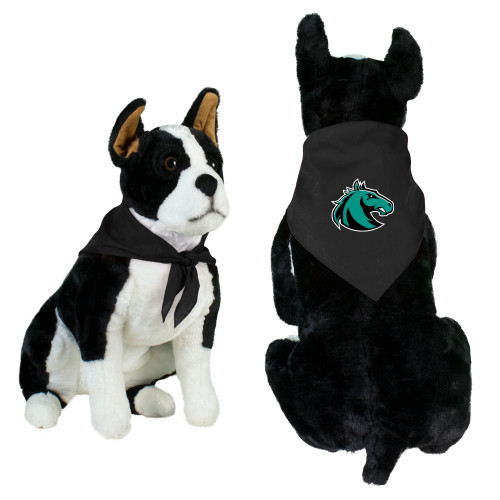  Black Pet Bandana - Athletic Palomino