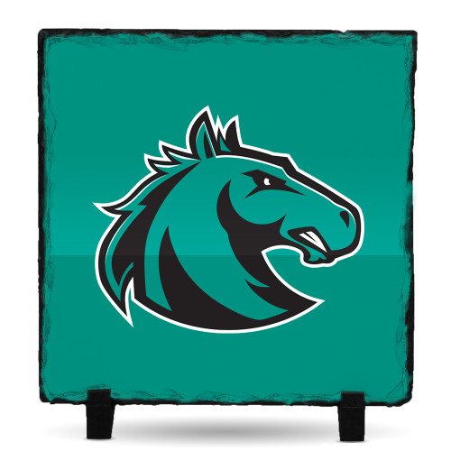  Photo Slate - Athletic Palomino
