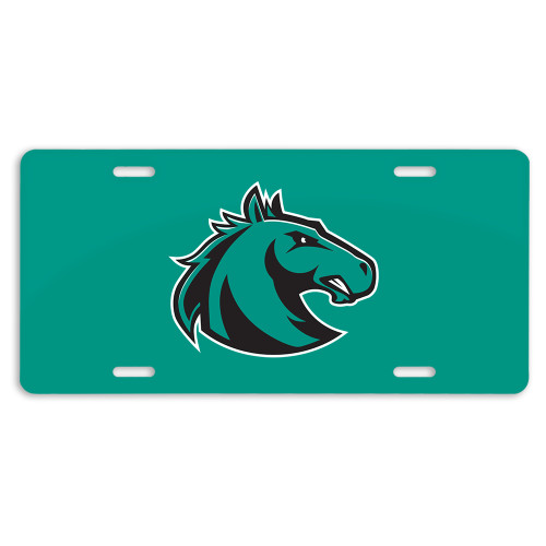  License Plate - Athletic Palomino