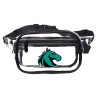 Thumbnail image for  Clear Fanny Pack