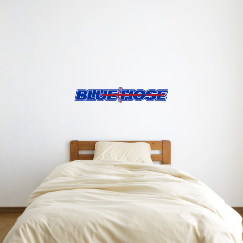  1 ft x 3 ft Fan WallSkinz - Blue Hose