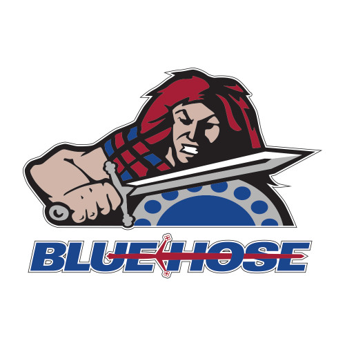  Medium Decal - Mascot