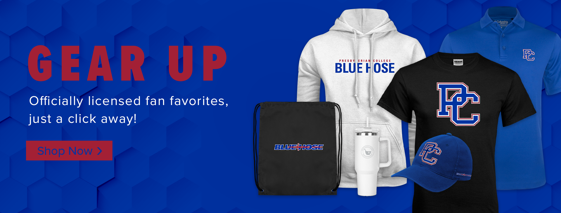 Promotional banner