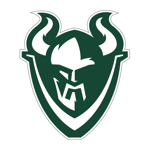  Medium Decal - Viking Head