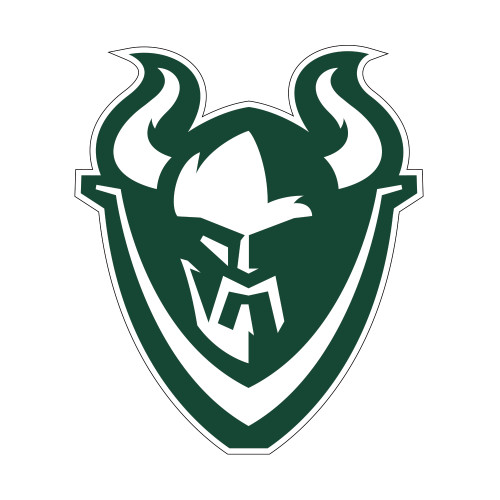  Small Decal - Viking Head