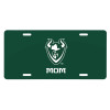 Thumbnail image for  License Plate