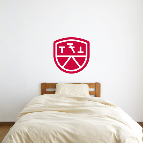  2 ft x 2 ft Fan WallSkinz - Primary Mark