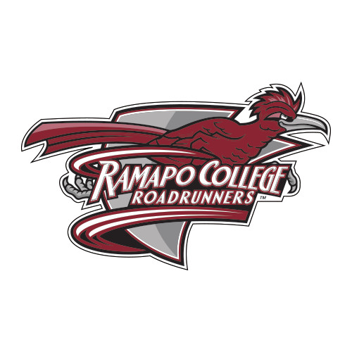  Large Decal - Official Logo