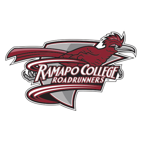  Extra Large Decal - Official Logo