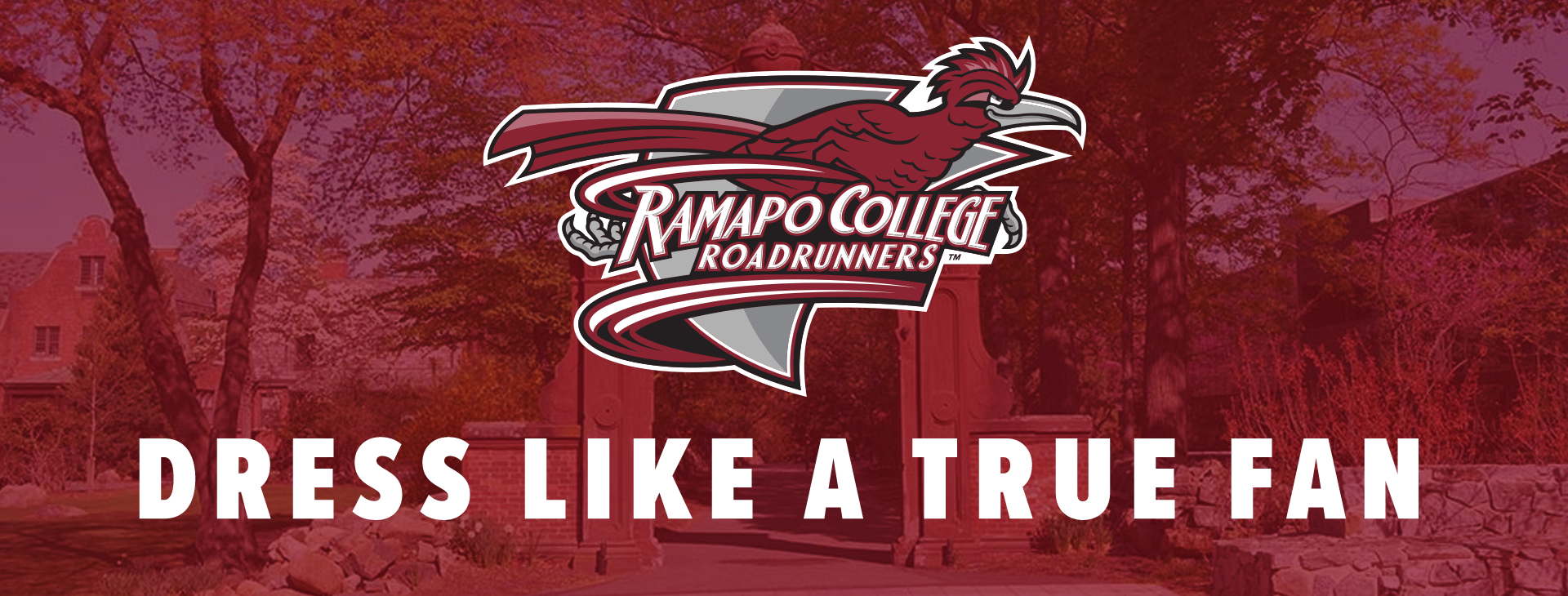 Promotional banner