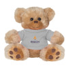 Thumbnail image for  Plush Big Paw 8 1/2 inch Brown Bear w/Grey Shirt