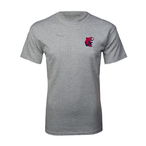 Main Image for  Grey T Shirt