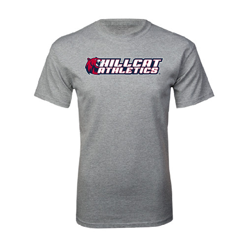 Main Image for  Grey T Shirt