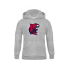 Thumbnail image for  Youth Grey Fleece Hood