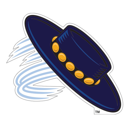  Large Decal - Magic Hat