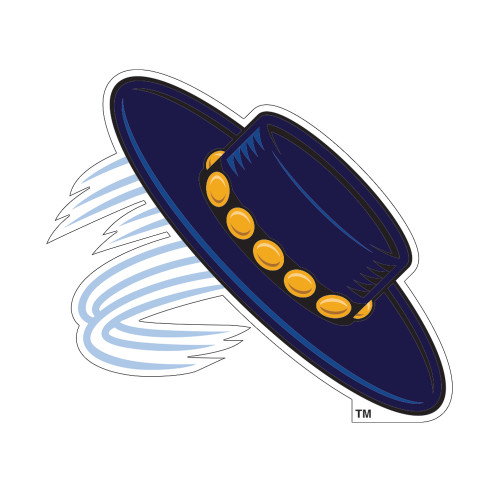  Small Decal - Magic Hat