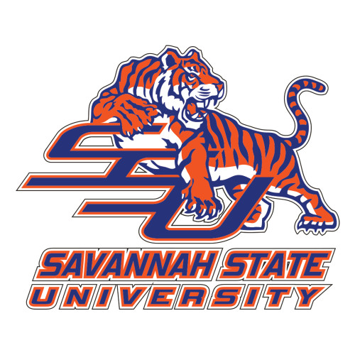  Large Decal - Official Logo
