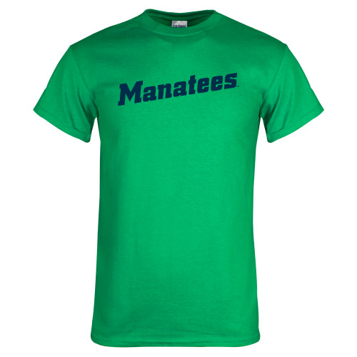 Main Image for  Kelly Green T Shirt