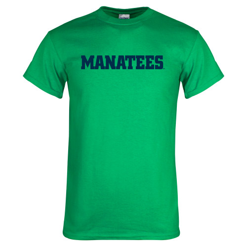 Main Image for  Kelly Green T Shirt