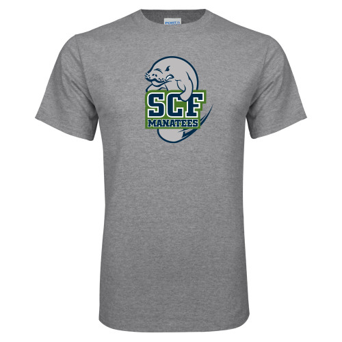 Main Image for  Grey T Shirt