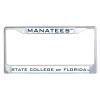 Thumbnail image for  Metal License Plate Frame in Chrome