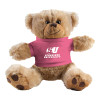 Thumbnail image for  Plush Big Paw 8 1/2 inch Brown Bear w/Pink Shirt