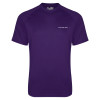 Thumbnail image for  Under Armour Purple Tech Tee