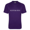 Thumbnail image for  Under Armour Purple Tech Tee