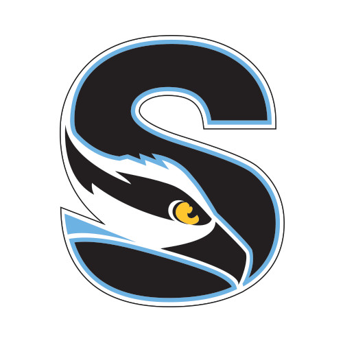  Medium Decal - Secondary Logo