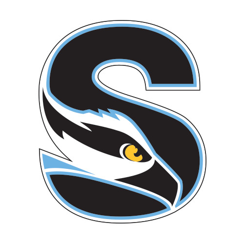  Large Decal - Secondary Logo