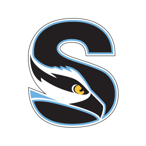  Small Decal - Secondary Logo