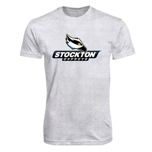  Next Level Heather White Triblend Tee - Official Logo